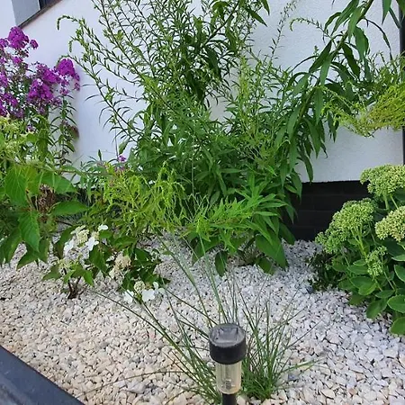 Czarne Nad Bialym * Gostynin