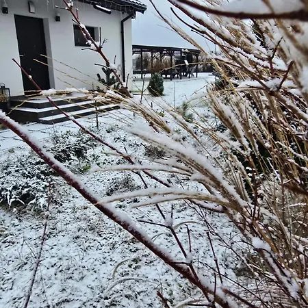 Czarne Nad Bialym * Gostynin