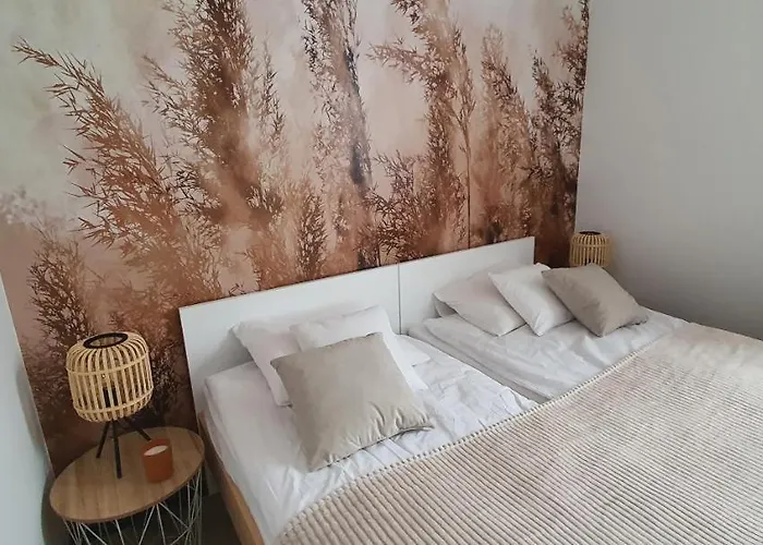 Czarne Nad Bialym Gostynin