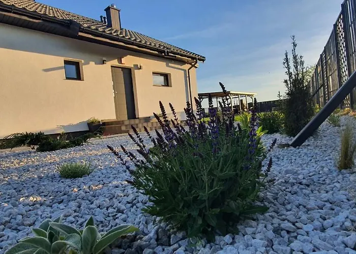 Czarne Nad Bialym * Gostynin