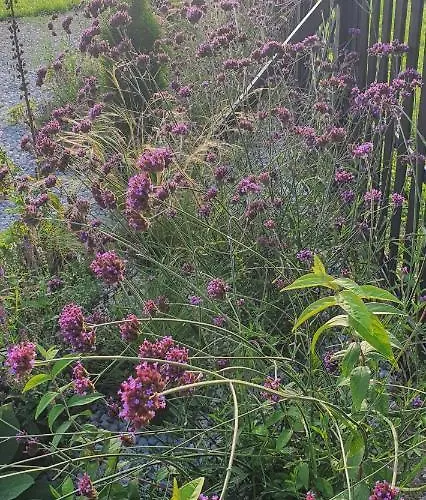 Holiday home Czarne Nad Bialym Gostynin