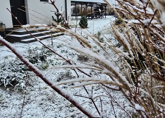 Czarne Nad Bialym * Gostynin